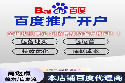 案例分析：SEM推广助力品牌知名度